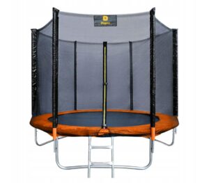 Батут RIPPEY 10FT 312 см з Драбинкою і Захисною Сіткою - Розваги для Дітей і Сім'ї