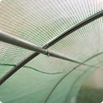 Садова Теплиця 2.5 x 4 x H2 м (10 м²) Plonos - Надійний захист рослин - Зображення 5