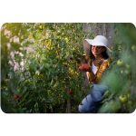 Садова Теплиця 2 x 3 м (6 м²) рожевий Plonos - Стильна і практична - Зображення 12