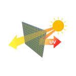 Садова Теплиця 3 x 6 м (18 м²) Plonos - Простора і міцна для великих садів - Зображення 14