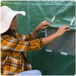 Плівка на садову теплицю 3x6 м (18 м²) Plonos - Міцний захист для вашого саду - Зображення 3