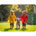 Ємність для дощової води на 650л Plonos PL-522 - Зображення 12