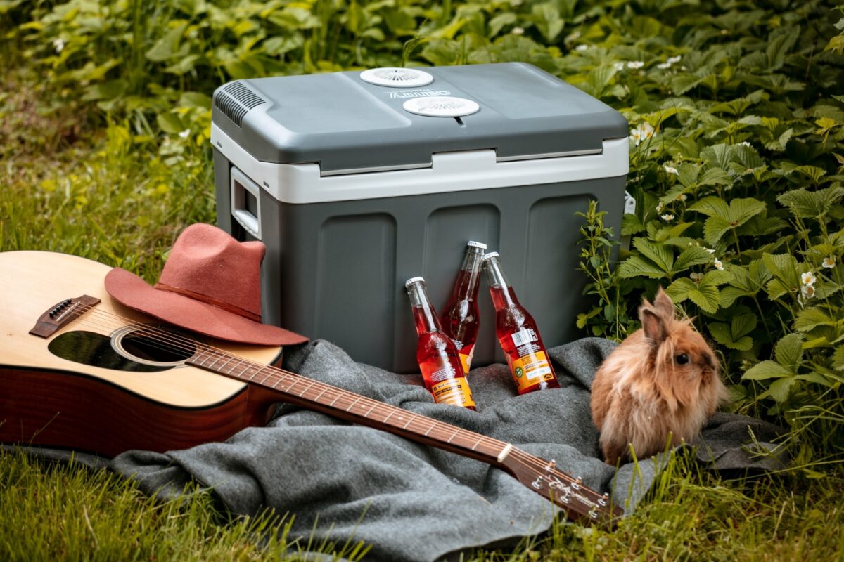 Дорожній туристичний холодильник Camry CR 8061 12В 40л