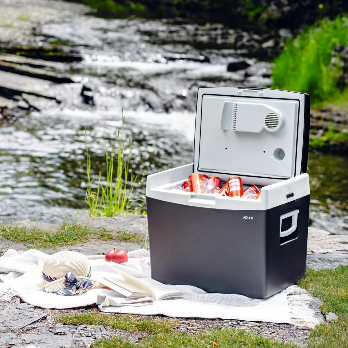 Дорожній туристичний авто холодильник Adler AD 8092 12В 40л