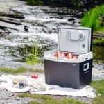 Дорожній туристичний авто холодильник Adler AD 8092 12В 40л