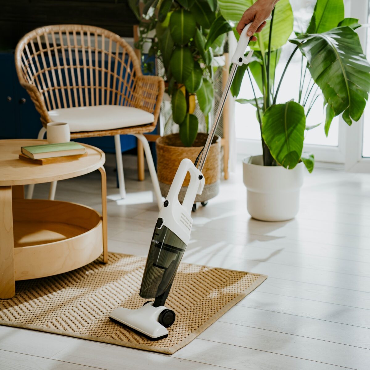 Ручний пилосос Mesko MS 7071 800W Контейнер 1L