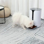 Автоматична годівниця для домашніх тварин дозатор корму GreenVision V86