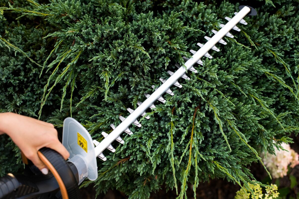 Електричні ножиці до живоплоту паркану із кущів і гілок дерев Adler AD 6814 з довжиною леза 61 см та лазерними лезами