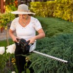 Електричні ножиці до живоплоту паркану із кущів і гілок дерев Adler AD 6814 з довжиною леза 61 см та лазерними лезами