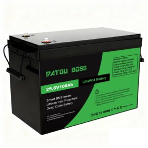 Акумулятор LiFePO4 DATOU BOSS 24V 100Ah з BMS SP-DT-24V100A-A01-EU