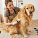 Професійна машинка для стрижки домашніх тварин Camry CR 2848 0.8–14мм