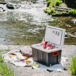 Автохолодильник туристичний дорожній холодильник Adler AD 8090 40 L