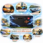 Акумулятор LogicPower LP LiFePO4 51.2V 315Ah 16128Wh BMS JK 200A/100А RM RS485/CAN BL